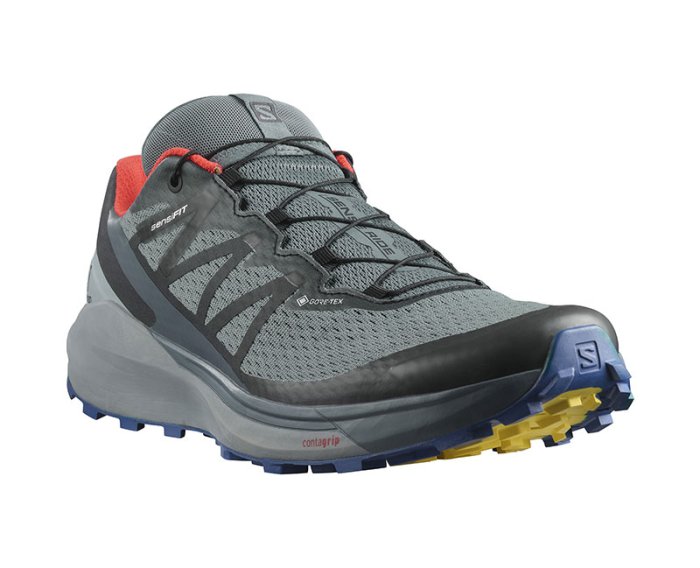 Salomon Sense Ride 4 GTX